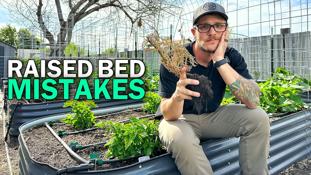 The Mistakes of Growing the Wrong Plants in Raised Beds